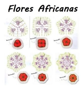 Flores Africanas de 3 a 8 pétalos patrón español